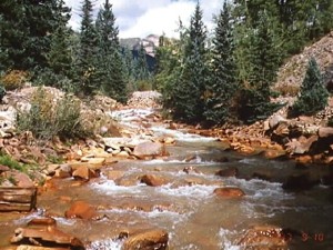 Cement Creek, Colorado, is the site of USGS
                        investigations of the fate of acid mine drainage