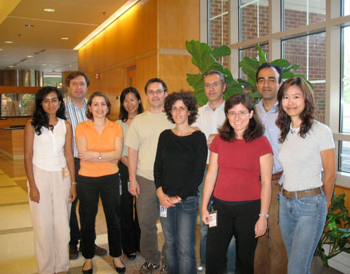 Photo of Laboratory of Muscle Stem Cells and Gene Regulation group.