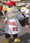 Photo of Screech, the mascot of the Washington Nationals