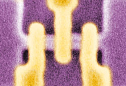 colorized micrograph of three tunable gates