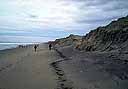 Sandy beach with people walking in the distance