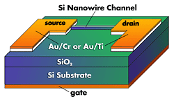 A schematic diagram of the NIST nanowire transistor.