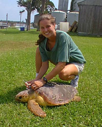 Jennifer Keller prepares to take a blood sample from a loggerhead sea turtle as part of her doctoral studies at Duke University. Keller is now a NIST post doctoral researcher.