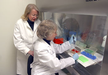 NIST principal investigator Barbara Levin (left) observes while NIST research chemist Diane Hancock pipettes a sample in preparation for an analysis of low-frequency mitochrondrial DNA mutations.