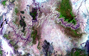 Landsat image of the Grand Canyon
