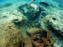 Vessel debris in crevice on reef flat