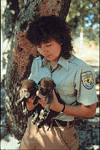 Image of a USFWS employee with red wolf pups