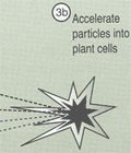 Accellerate particles into cells