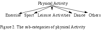 The Sub-categories of physical Activity