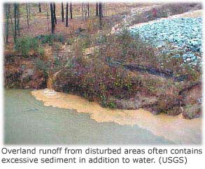 暴風雨の間、道路から小川に流れ込む、堆積物で満たされた流去水を示した写真. 