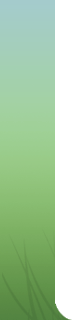green backgroud