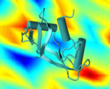 image of protein ribbon
