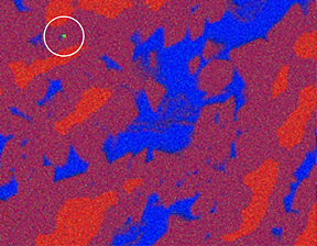 X-ray data collected with a scanning electron microscope from a nickel-aluminum alloy. Pure aluminum is represented by blue, pure nickel by red and nickel-aluminum alloys by colors in between. The green dot in the upper left shows a contaminant particle of chromium identified with the NIST software that occupied only one pixel of the microscope's scanning area. The sample measures about 160 micrometers across.