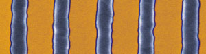 A colorized scanning electron microscope image shows the "waviness" or roughness of edges on reference lines made of silicon that are about 100 nanometers wide.