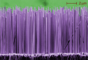 semiconductor nanowires