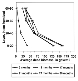 graph showing average dead biomass in the flume, 1995 through 1997