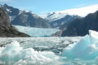 photo of glacier or iceberg