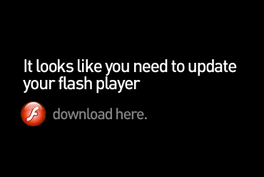 Please update your flash player