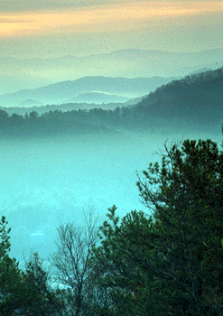 Foggy Smoky Mountains image