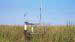 Photo of ET site in ENR cattails