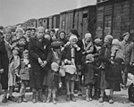 The contrast between the SS female auxiliaries getting off the bus on a day trip in July 1944 and the arrival of a transport of Hungarian men, women, and children in Birkenau in May 1944.