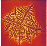 "Dizzy dendrite" pattern grown in an 80-nanometer thick film of two blended polymers with randomly dispersed clay particles. 