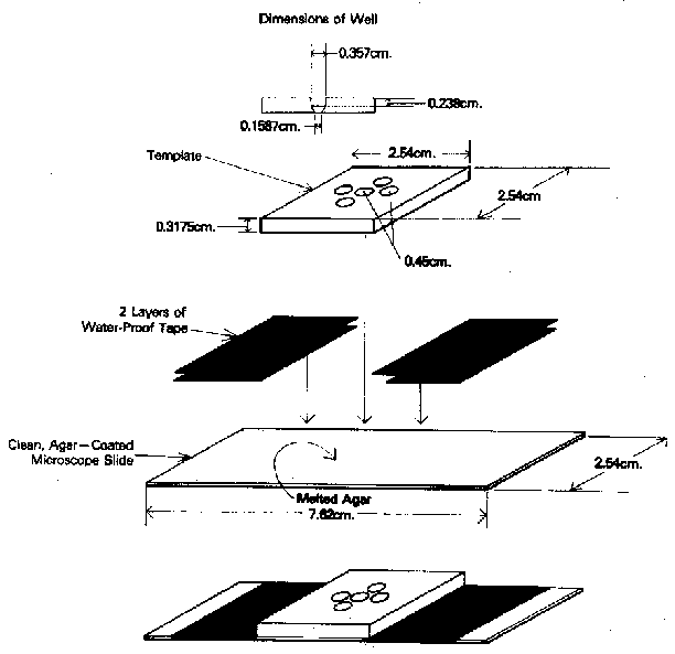 Microslide
 assembly with diagram for preparation and specifications for plastic template.