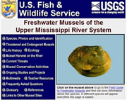 Freshwater Mussels of the Upper Mississippi River System 