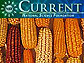 NSF Current, February 2007 Edition