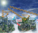 Illustration showing the impact of tropical, temperate and boreal forests on Earth's climate.