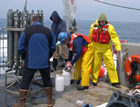 Collection of water samples from research ship. Photo courtesy of the Woods Hole Oceanographic Institution