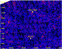 This image shows two bright gamma-ray sources: NGC 4388, the nearby "Seyfert" galaxy which is the subject of this press release; and 3C 273, a very distant quasar.