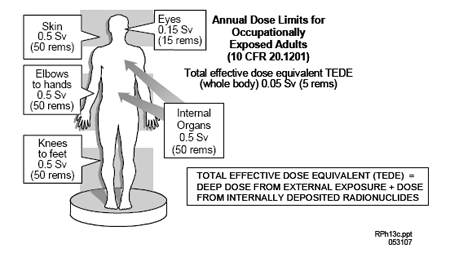 Figure 8.7 Annual Dose Limits for Occupationally Exposed Adults.