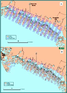 two maps showing spatial arrangement of 30 manatee aerial survey strip-transect polygons in the Ten Thousand Islands during flights July-October 2000 and July 2001-August 2002