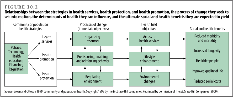 Relationships between the strategies in health services, health protection, and health promotion, the process of change they seek to set into motion, the three modifiable determinants of health they can influence, and the ultimate social and health benefits they are expected to yield