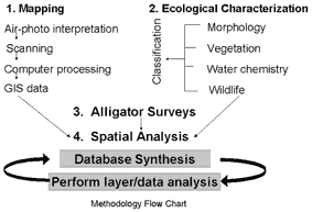 methodology flow chart