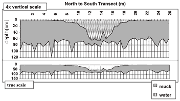 example of transect data for an alligator hole showing water and muck depths in the North to South direction