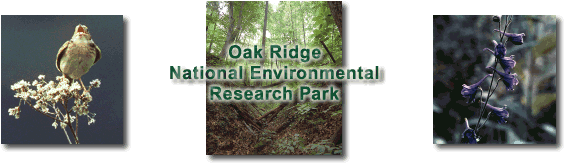 Oak Ridge National Environmental Research Park