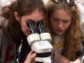 Students at microscope in the InSTEP Program.