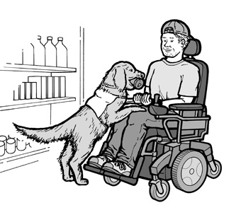 A service animal gives a can of soda to a young man using a wheelchair.