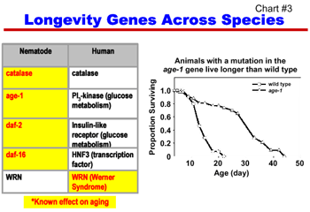 Chart 3: Longevity Genes Across Species