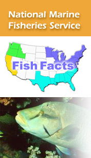Go to Fish Facts Homepage