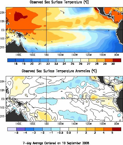 Weekly Equatorial Pacific SST and Anomalies
