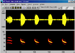 spectrogram image