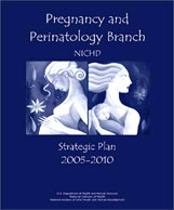 PPB Strategic Plan 2005-2010 cover