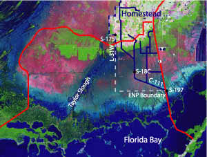 satellite image showing study site location