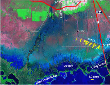 satellite image showing 1997 velocity measurements