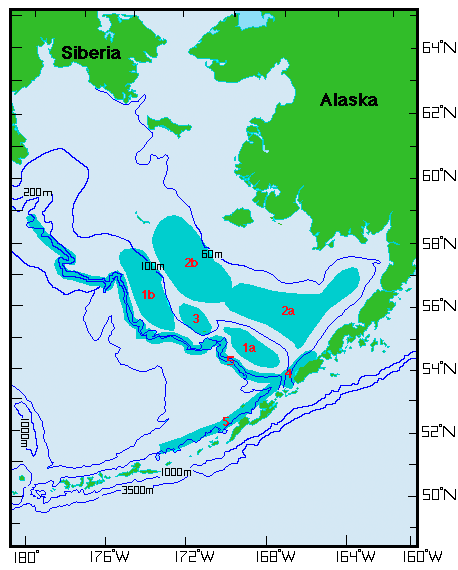 Bering Sea habitats