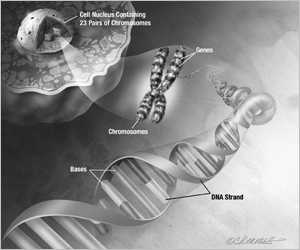 Graphic of DNA, Genes, and Chromosomes