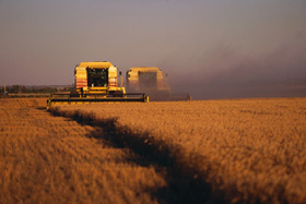 Harvesting machines creating dust